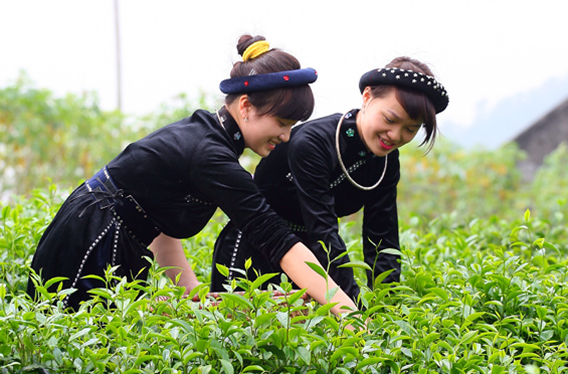 Hương vị xứ Thái