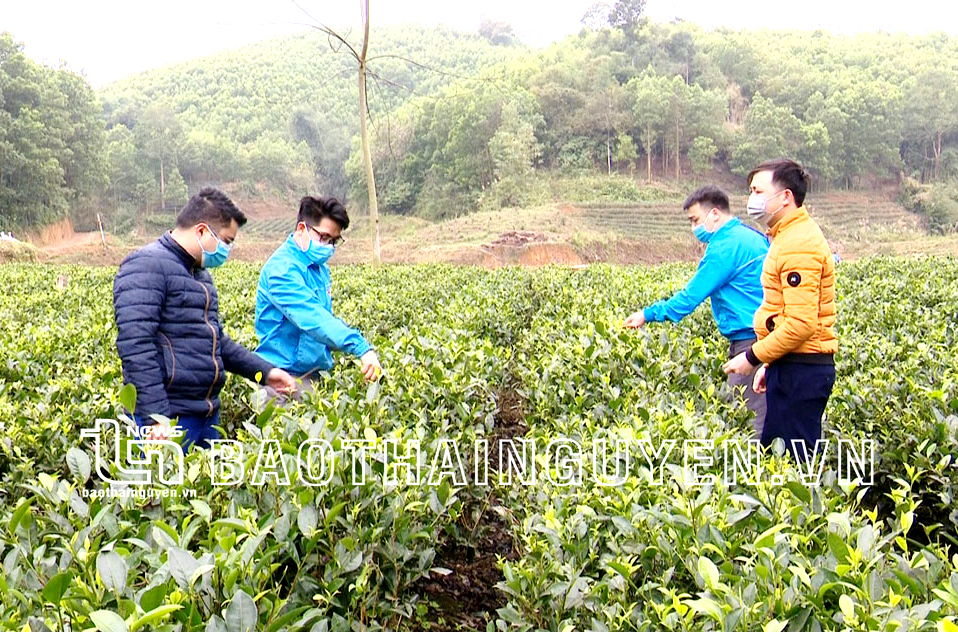 Tăng cường kiểm tra việc sử dụng vốn vay
