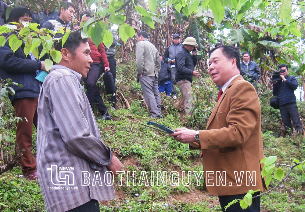 Ông thầy về cây ăn quả