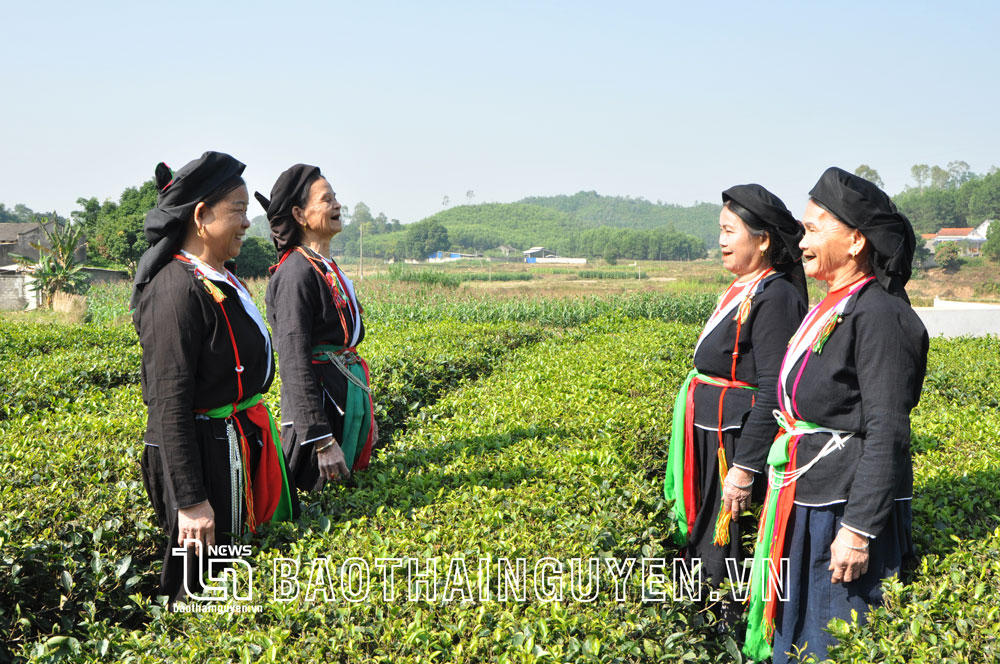 Ngân nga điệu hát Soọng cô
