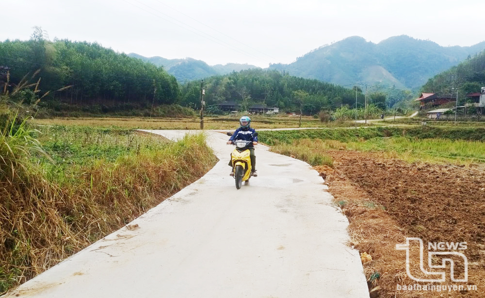 Cúc Đường thu "quả ngọt" từ nông thôn mới