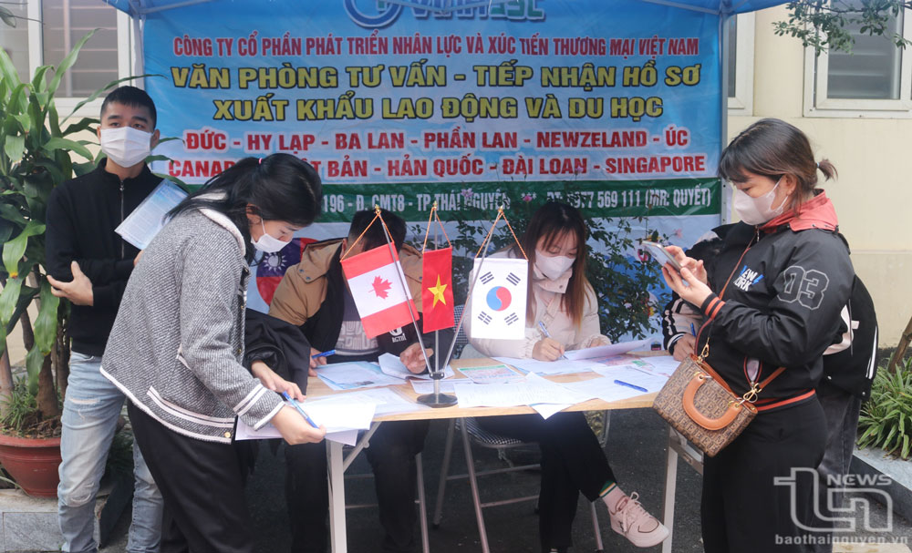 Người lao động tìm hiểu cơ hội việc làm, học tập ở nước ngoài tại Trung tâm Dịch vụ việc làm tỉnh.