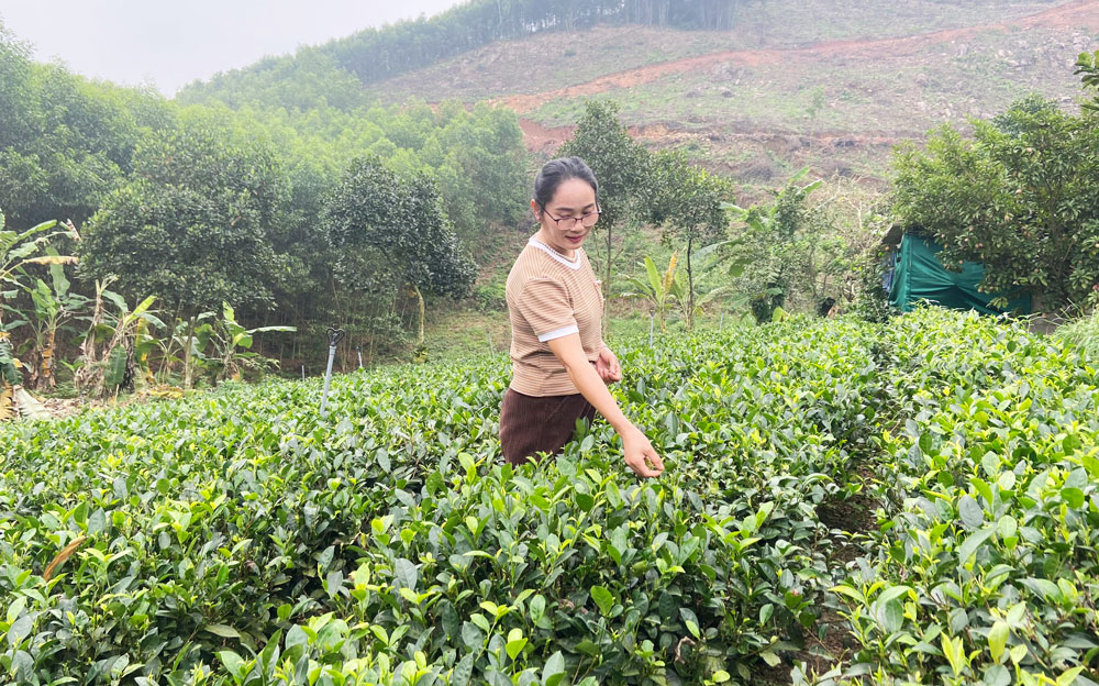 Mẹ đơn thân vượt nghịch cảnh, thoát nghèo