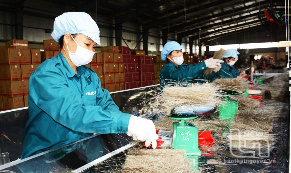 Cận Tết, làng nghề, hợp tác xã "vào guồng"