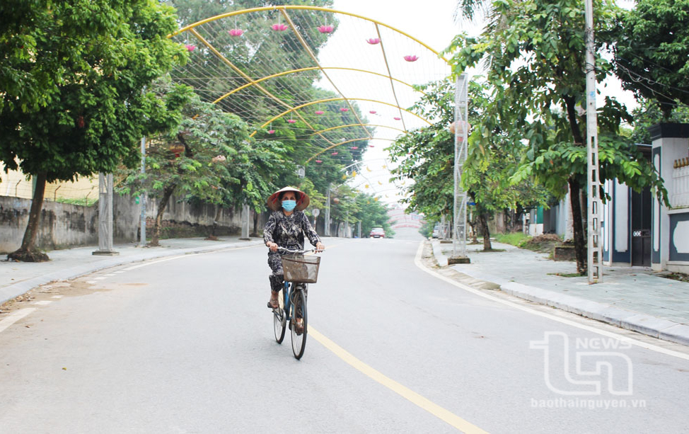 Hệ thống cây xanh trên các tuyến đường nội thị ở TP. Phổ Yên được quản lý, chăm sóc hiệu quả, góp phần tạo cảnh quan đô thị, bảo vệ môi trường sống trong lành.