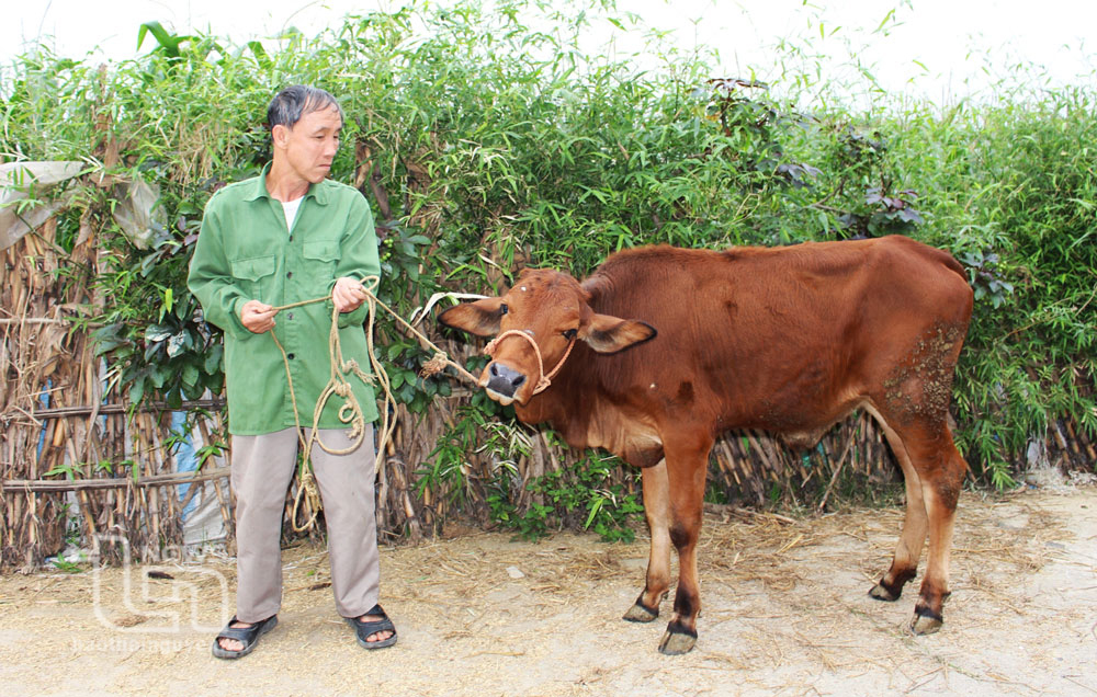 TP. Phổ Yên: Phấn đấu giảm tỷ lệ hộ nghèo từ 0,3% trở lên