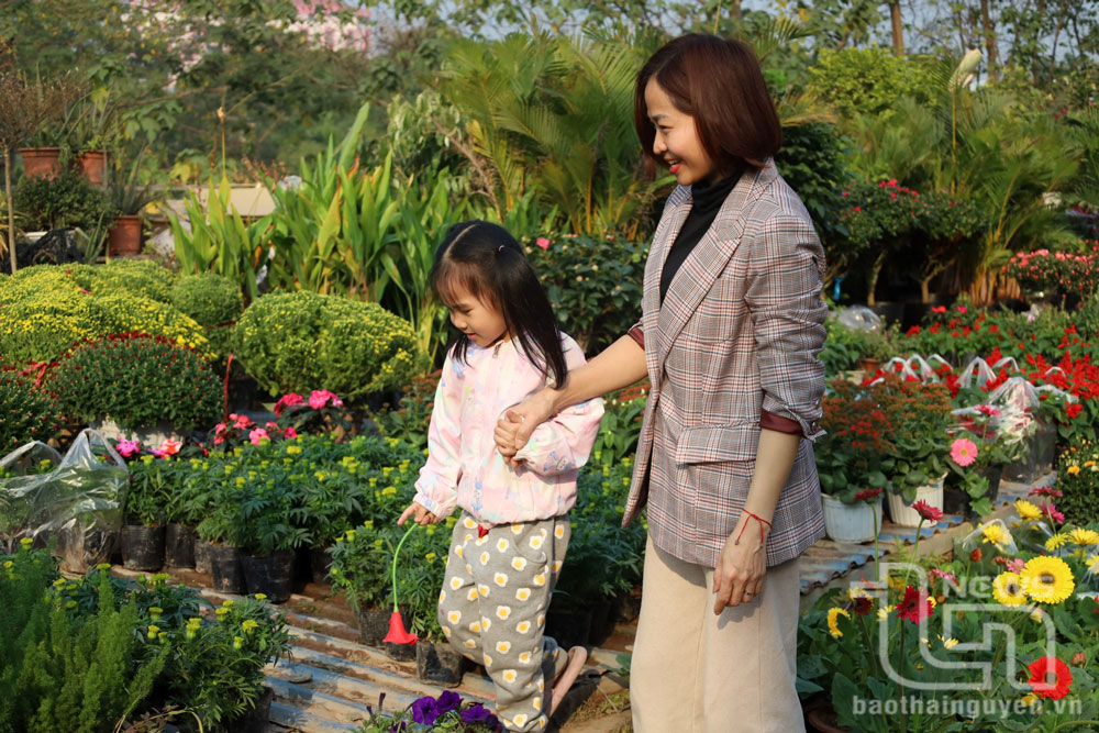 Niềm vui khi đi mua hoa Tết.