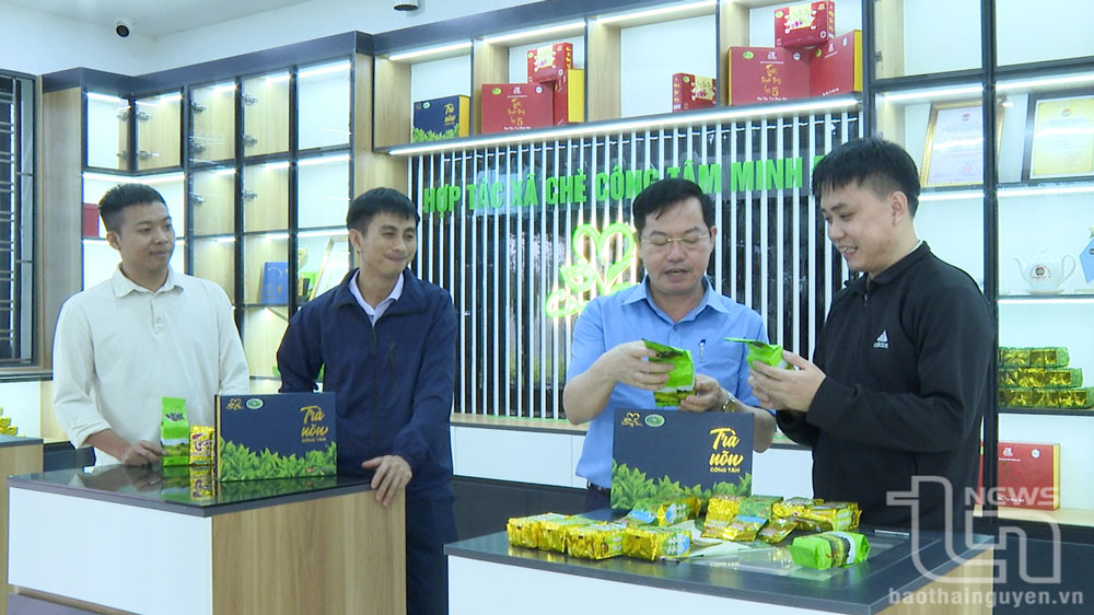 Khi cấp ủy làm tròn vai