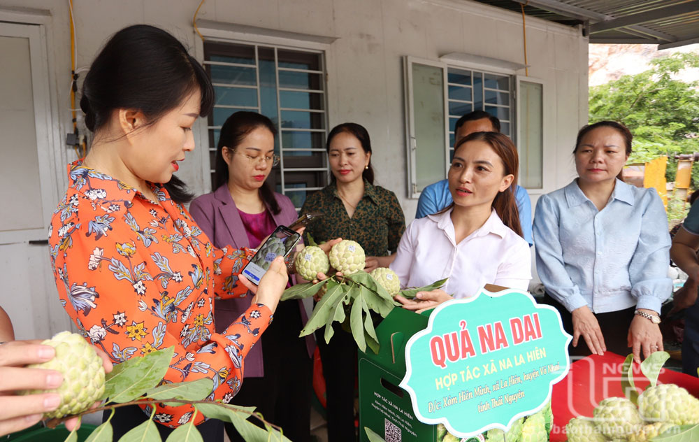 Từ năm 2021, sản phẩm na La Hiên được ứng dụng mã QR để truy xuất nguồn gốc.