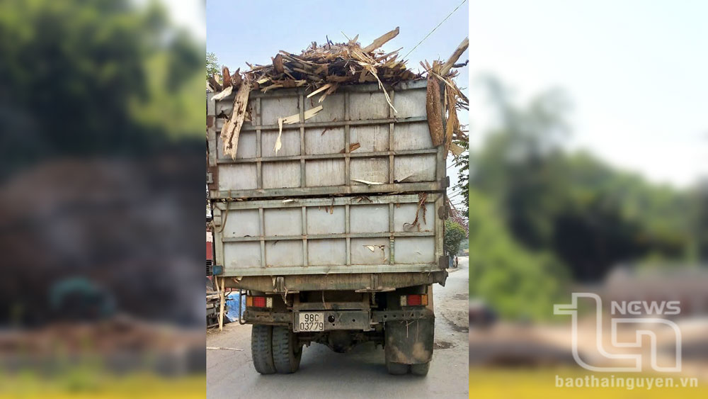 Xử phạt 3 triệu đồng tài xế xe tải làm rơi vãi nhiều rác gỗ ra đường
