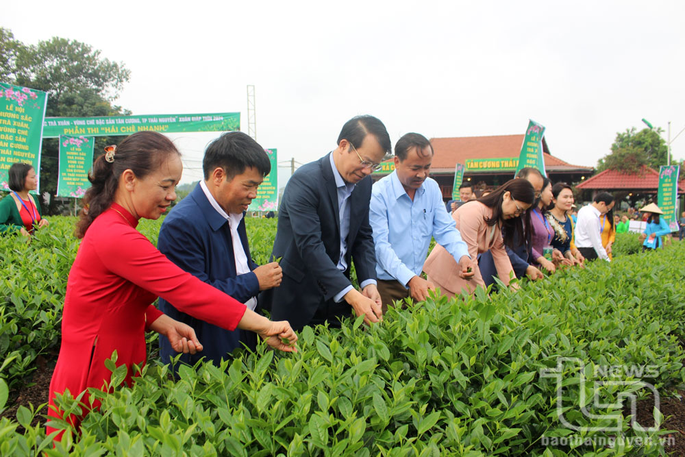10 thành tựu nổi bật của TP. Thái Nguyên năm 2024