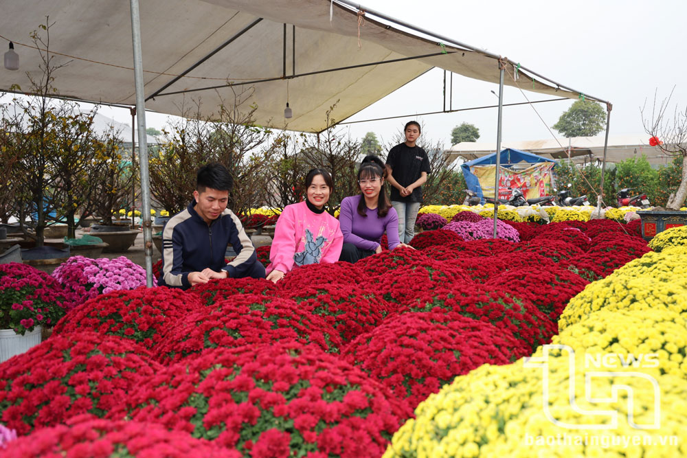 Chợ hoa tại Quảng trường Vạn Xuân (TP. Phổ Yên).