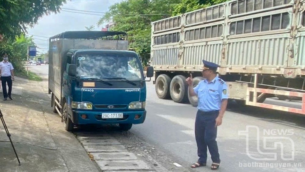 Cấp 28 nghìn giấy chứng nhận kiểm dịch
