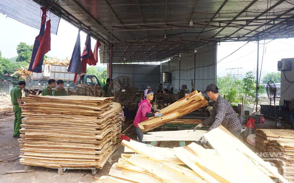 Một cơ sở chế biến gỗ ở xã Hóa Trung (Đồng Hỷ) tạo việc làm ổn định cho 10 lao động.