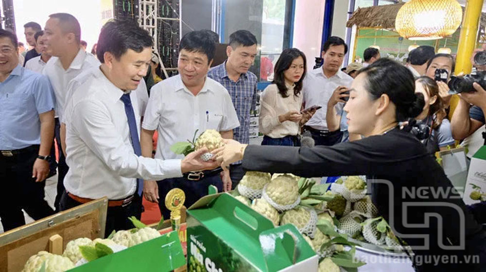 Liên kết nào cho thị trường nông sản Thái Nguyên?
