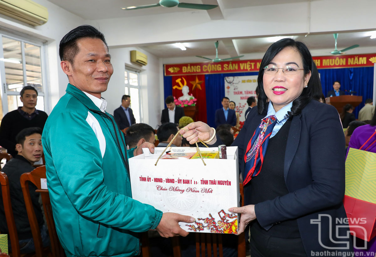 Trưởng Ban Công tác đại biểu Quốc hội thăm, chúc Tết tại Thái Nguyên