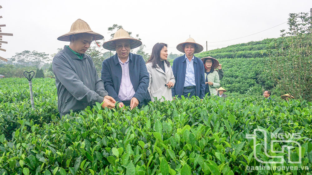 Giá trị sản xuất nông, lâm nghiệp, thủy sản tăng hơn 3%