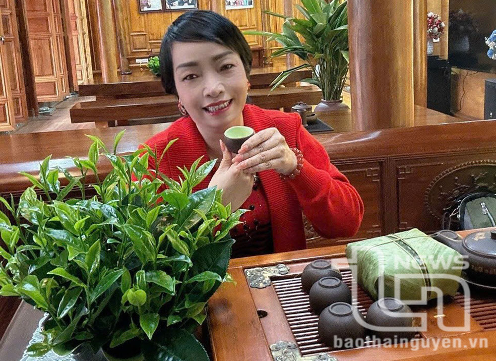 Thưởng trà ngày Xuân