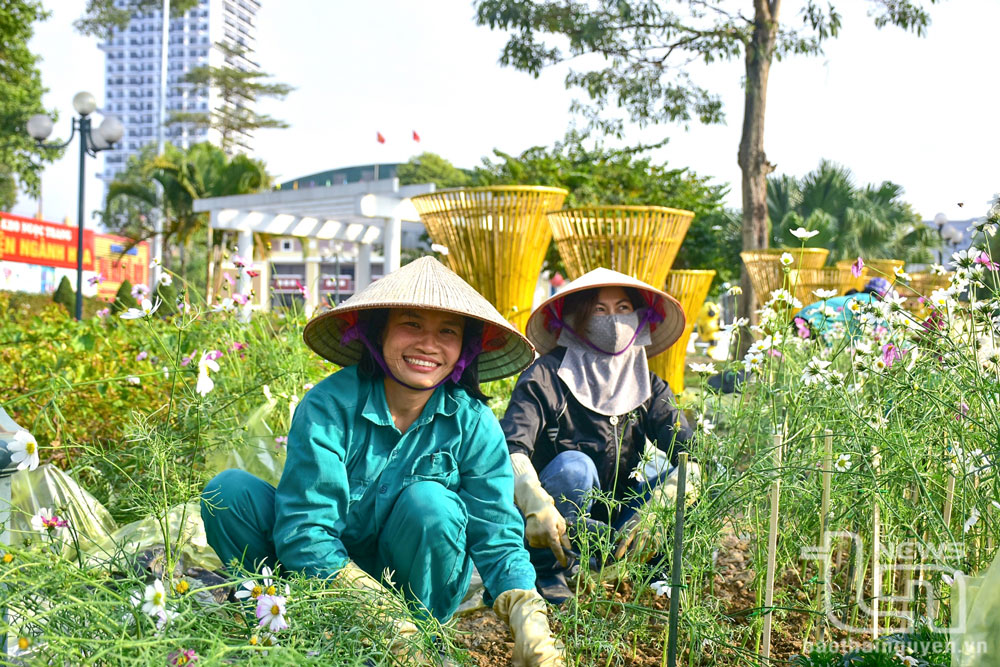 Nhân viên Công ty CP Môi trường và Công trình đô thị Thái Nguyên trồng hoa, trang trí không gian Tết tại khu vực Quảng trường Võ Nguyên Giáp, TP. Thái Nguyên.