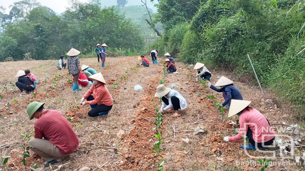 Đào tạo nghề cho lao động vùng dân tộc thiểu số: Đưa lớp học về cơ sở
