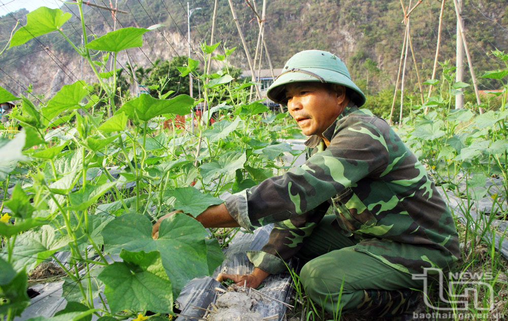 Võ Nhai ngày mới