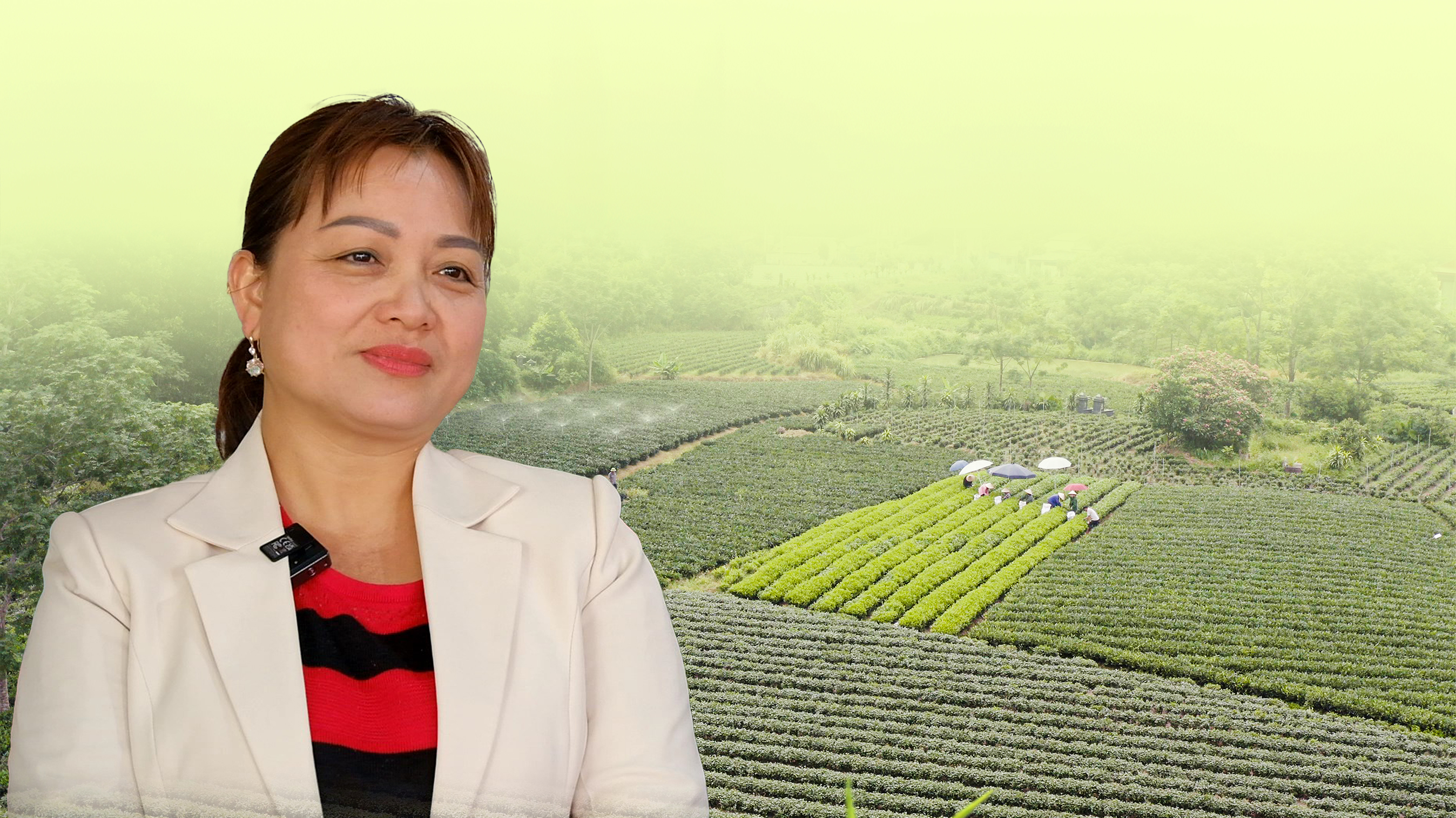 Nữ nghệ nhân làng nghề chè đầu tiên của Phú Lương
