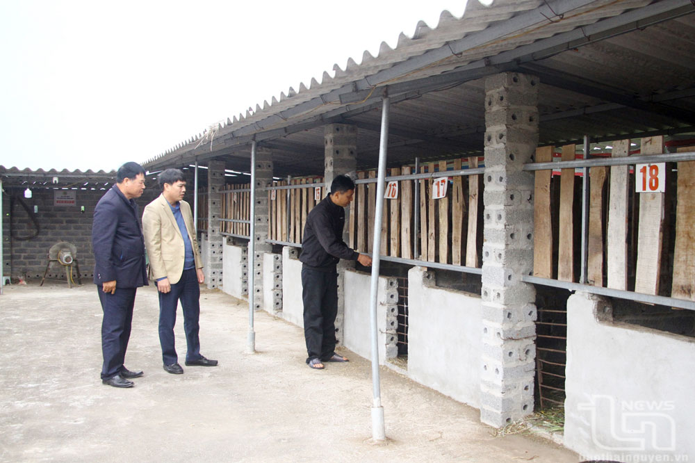 Liên kết để cùng phát triển