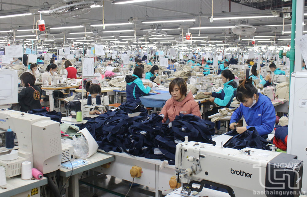 TNG: Doanh thu tháng 1 tăng 31,7%