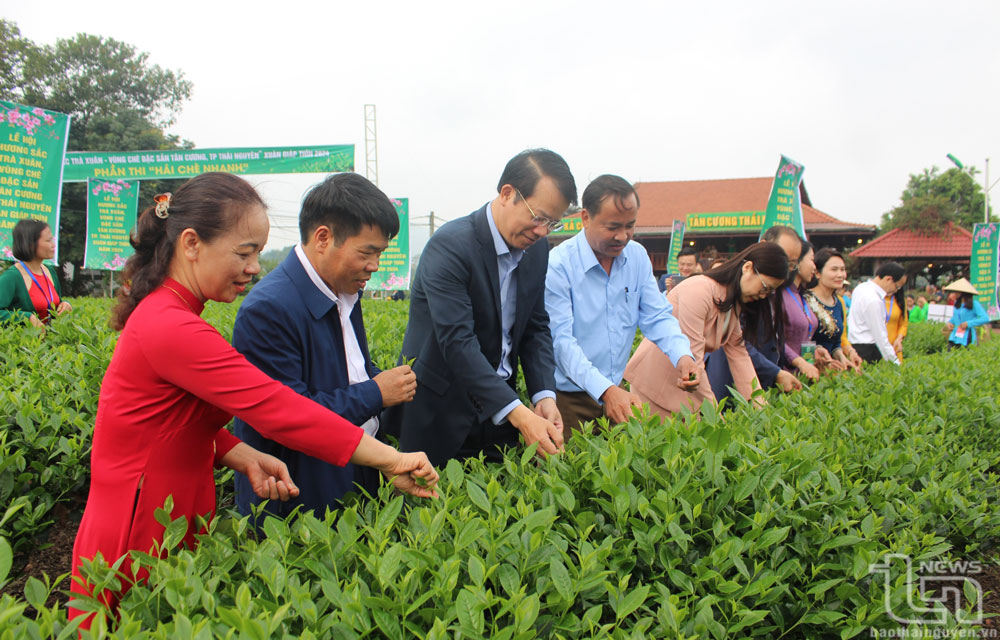 Lễ hội tôn vinh vùng "Đệ nhất danh trà"
