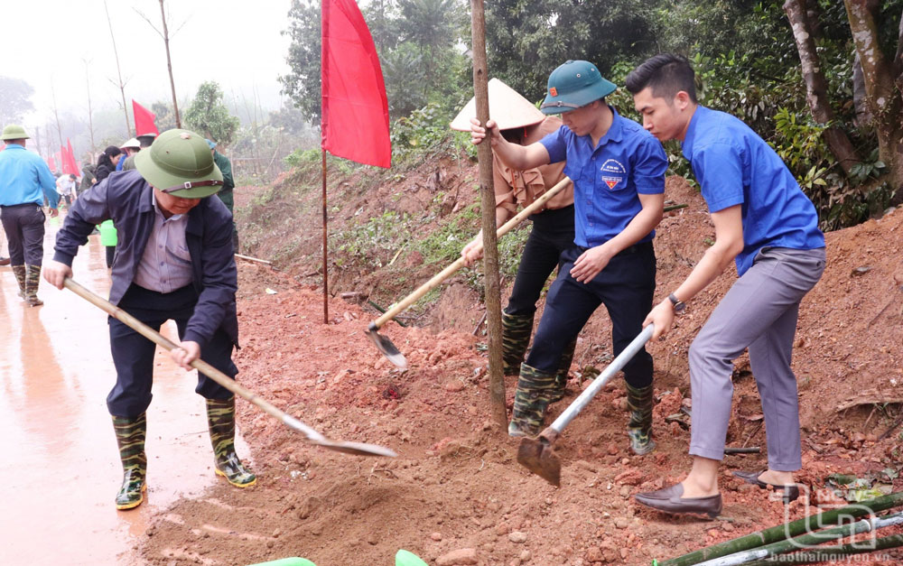 Đồng chí Đỗ Đức Công, Ủy viên Ban Thường vụ Tỉnh ủy, Phó Chủ tịch Thường trực HĐND tỉnh, tham gia trồng cây xanh tại tuyến đường trục xã Tân Hòa, Phú Bình.