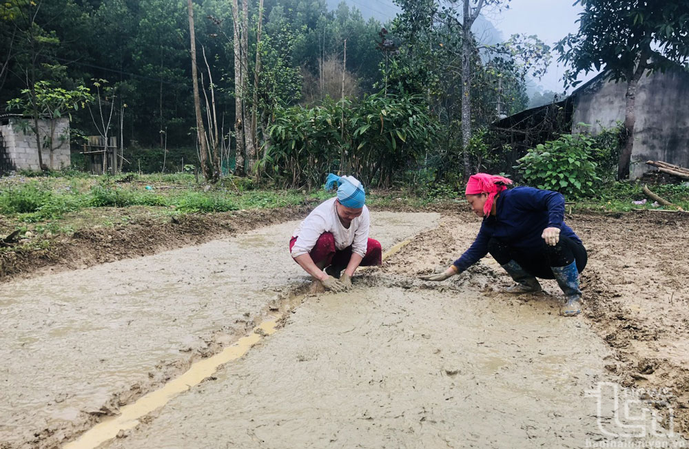 Cấy thuê, đổi thóc: Những mảnh ghép trong khốn khó
