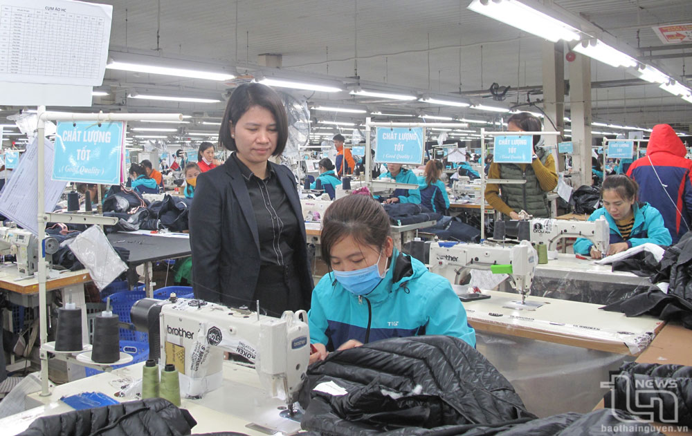 Phát triển Đảng trong doanh nghiệp: Điểm sáng TNG