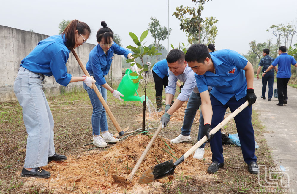 Trồng hơn 6.000 cây xanh tại các khu công nghiệp