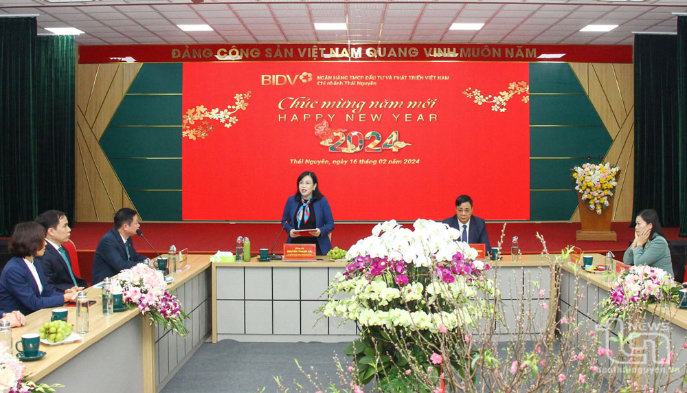 Đồng chí Bí thư Tỉnh ủy Nguyễn Thanh Hải phát biểu động viên tập thể BIDV chi nhánh tỉnh Thái Nguyên.