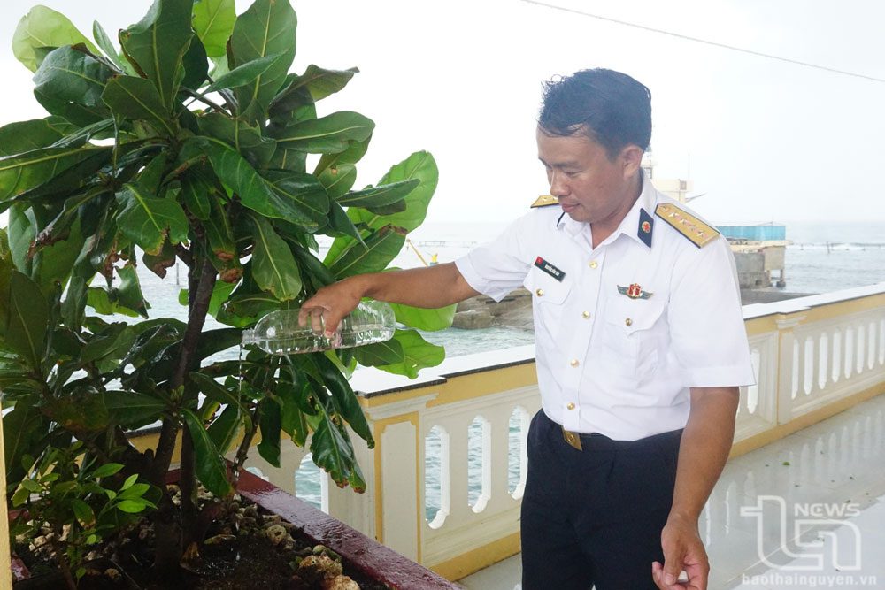 Để tránh sóng đánh, cây bàng vuông được các chiến sĩ đảo Đá Đông B trồng trên tầng 2.