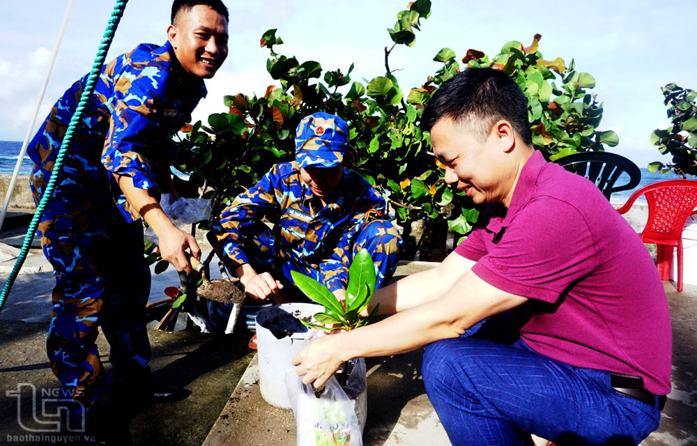 Chiến sĩ đảo An Bang tặng cây bàng vuông cho phóng viên tác nghiệp tại đảo.