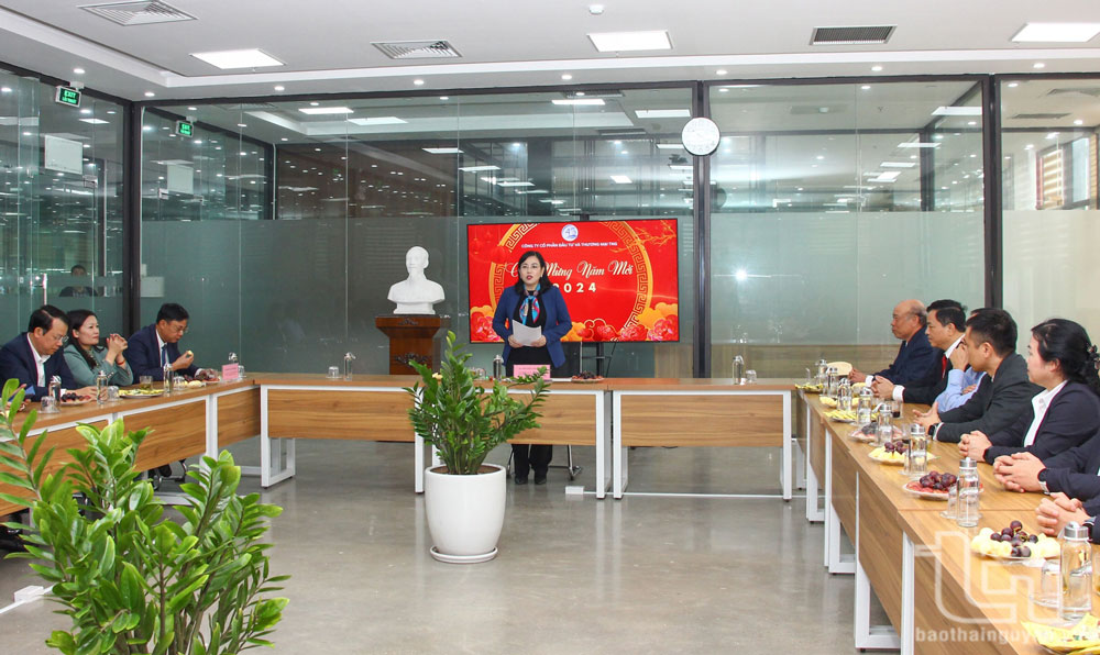 Đồng chí Bí thư Tỉnh ủy Nguyễn Thanh Hải phát biểu động viên tập thể Công ty CP Đầu tư và Thương mại TNG.