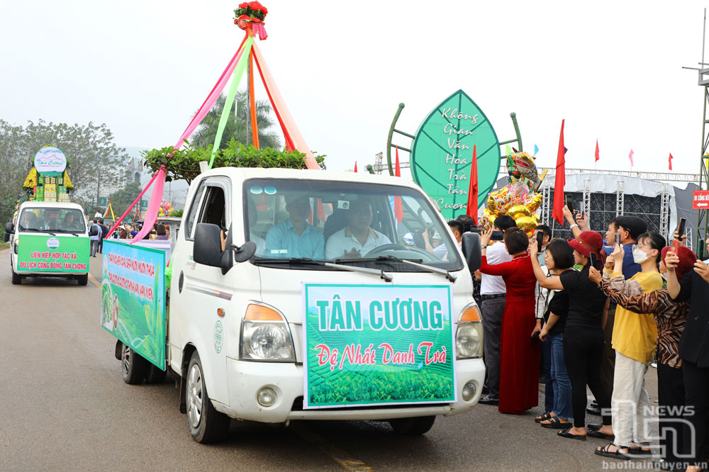 Diễu hành cây chè đẹp.
