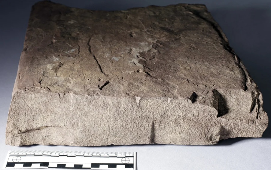 Chữ rune được khắc trên đá. Ảnh: CNN
