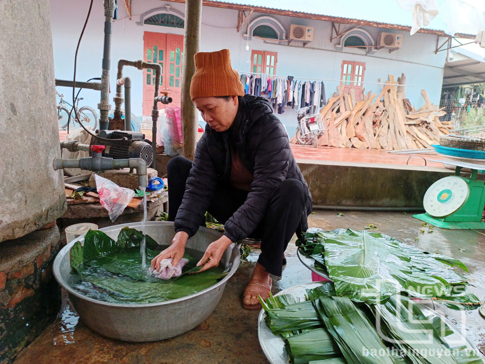 Người dân xã Xuân Phương chuẩn bị lá dong để gói bánh chưng.
