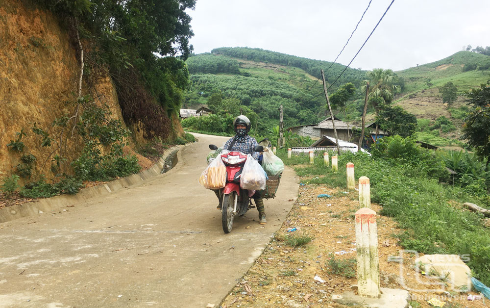 Vui mùa Xuân mới