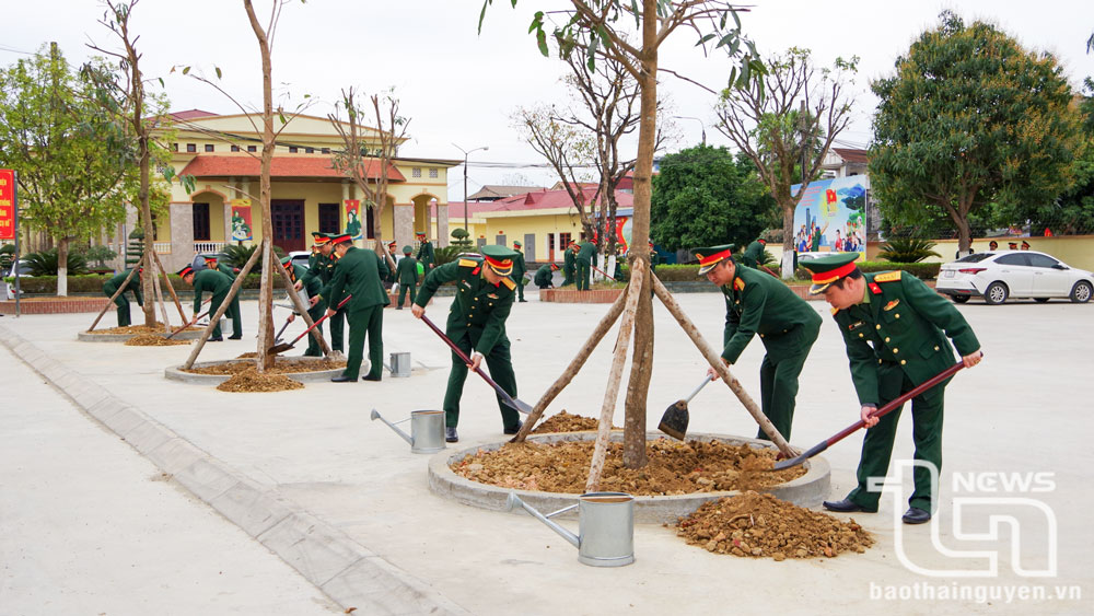 Bộ Chỉ huy Quân sự tỉnh phát động “Tết trồng cây đời đời nhớ ơn Bác Hồ”