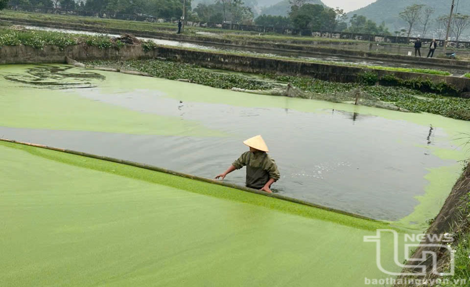 Khai thác 6.150ha mặt nước nuôi trồng thủy sản