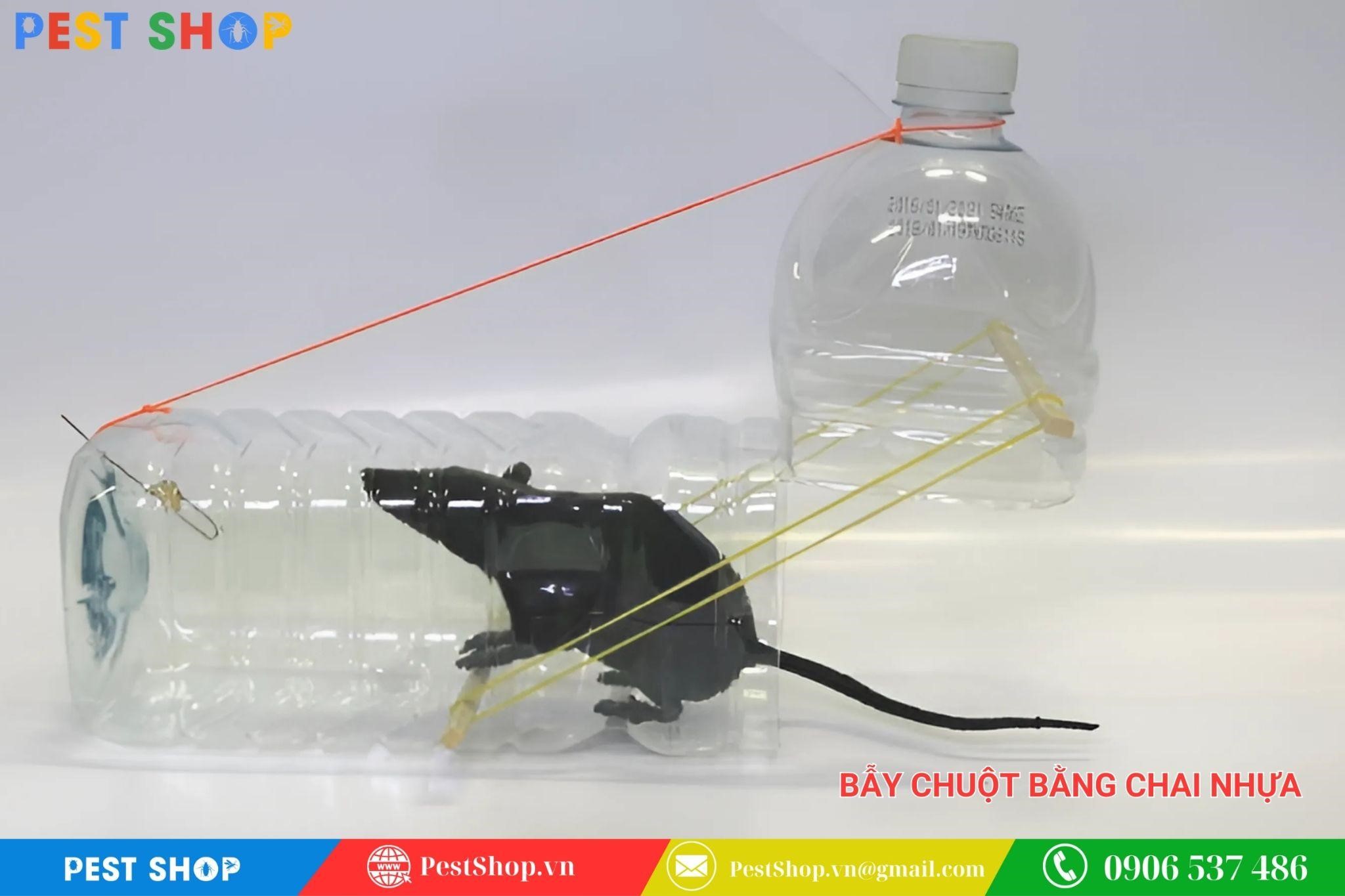 Cách làm bẫy chuột bằng chai nhựa từ Vũ Tuyên - CEO Pest Shop 