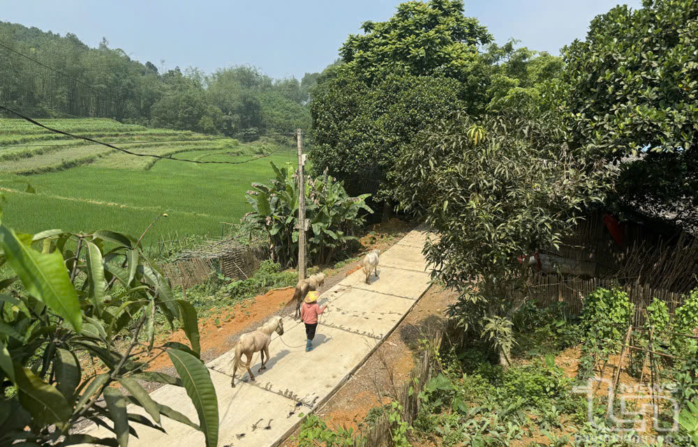 Những cung đường mùa Xuân