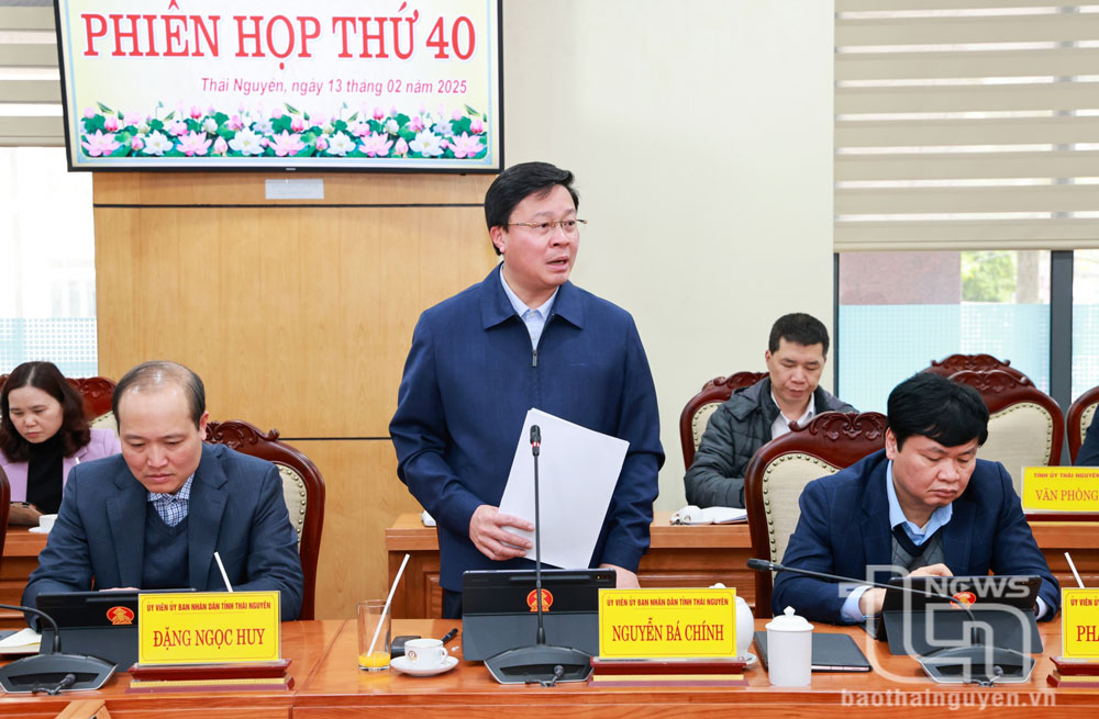 Lãnh đạo Sở Công Thương tham gia ý kiến tại Phiên họp.