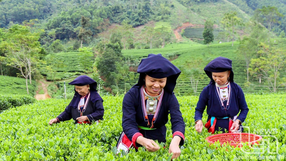 Mùa Xuân trên bản Dao
