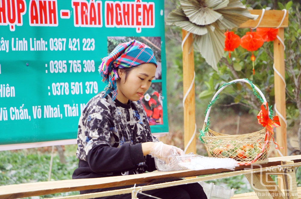Thu quả ngọt trên vùng đất khó
