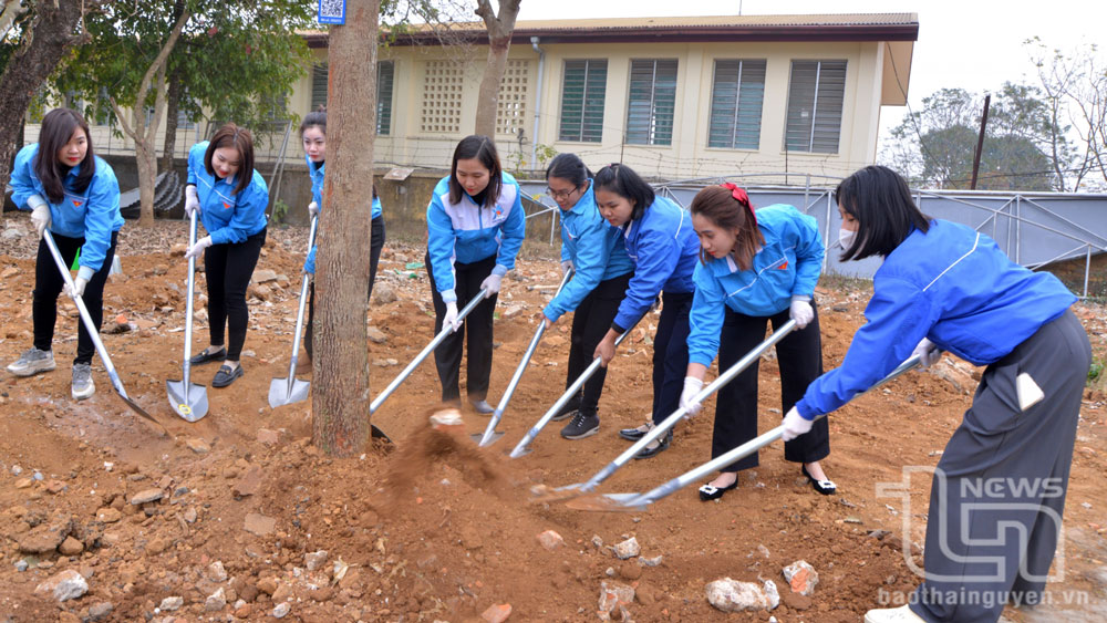 Đoàn viên thanh niên huyện Phú Lương tham gia trồng cây tại sân vận động Trường THPT Phú Lương.