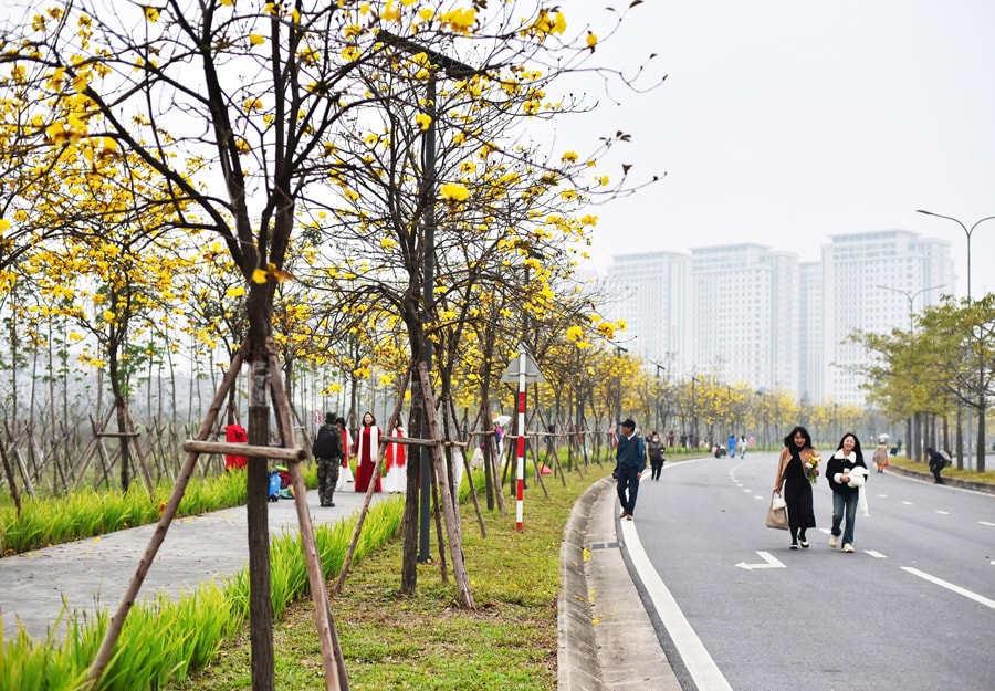 Tăng sức hấp dẫn cho Hà Nội từ những điểm du lịch hoa